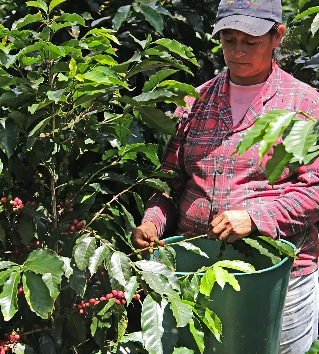 oscar-ferreira-comercializadora-de-cafe-y-cacao-colombiano-comunidad